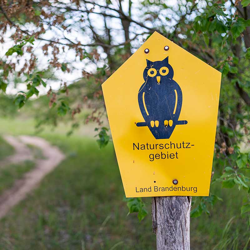 Bad Freienwalde - Naturschutzeule