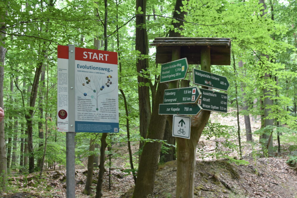 Evolutionsweg in Bad Freienwalde