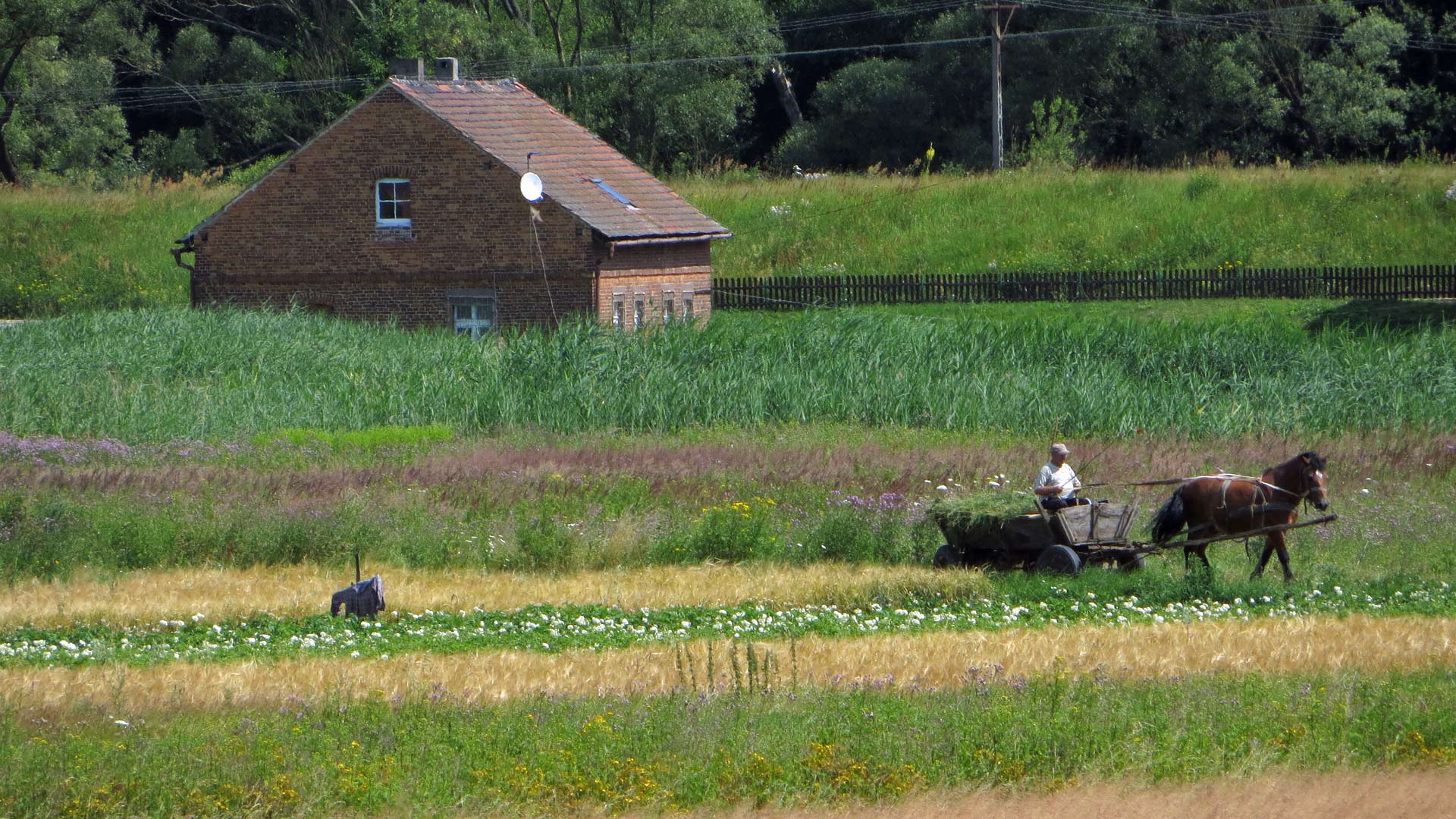 Neumark auf dem Oder-Neisse-Radweg