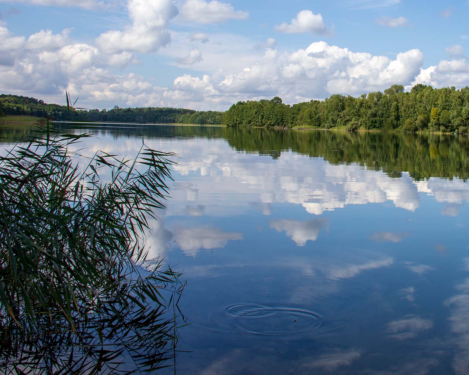 Uckermark - Großer Kronsee